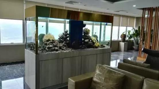 网购水族箱便宜吗,怎么买水族箱便宜