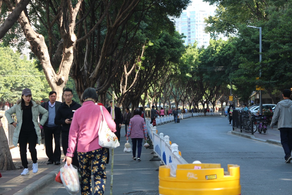 海珠最美小区,海珠区最漂亮社区