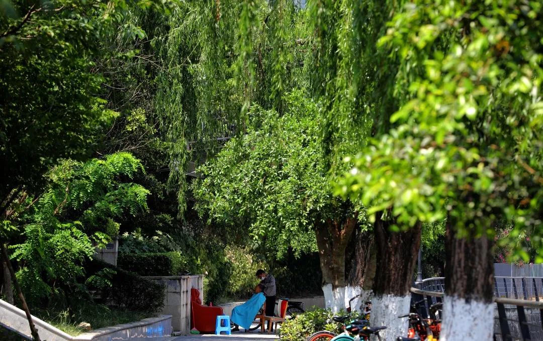 成都城南4条最美街道,成都天府新区风景优美的地方