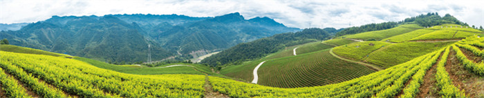 重庆一个来了就不想走的城市,彭水适合一个人去的地方