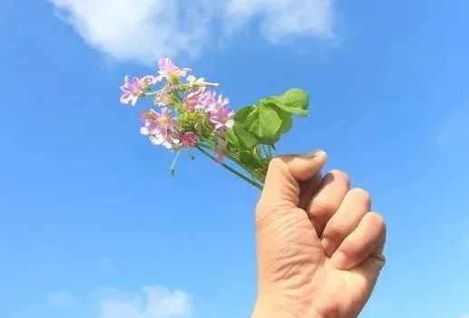 中诗报浙江工作室第（171）（172）（173）期临屏诗创作合集