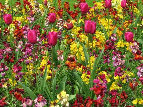 未来的孩子要培养爱商,培养孩子爱的能力比爱本身更重要