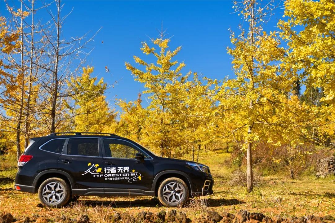 实用性超高的suv斯巴鲁森林人,森林人suv什么性能