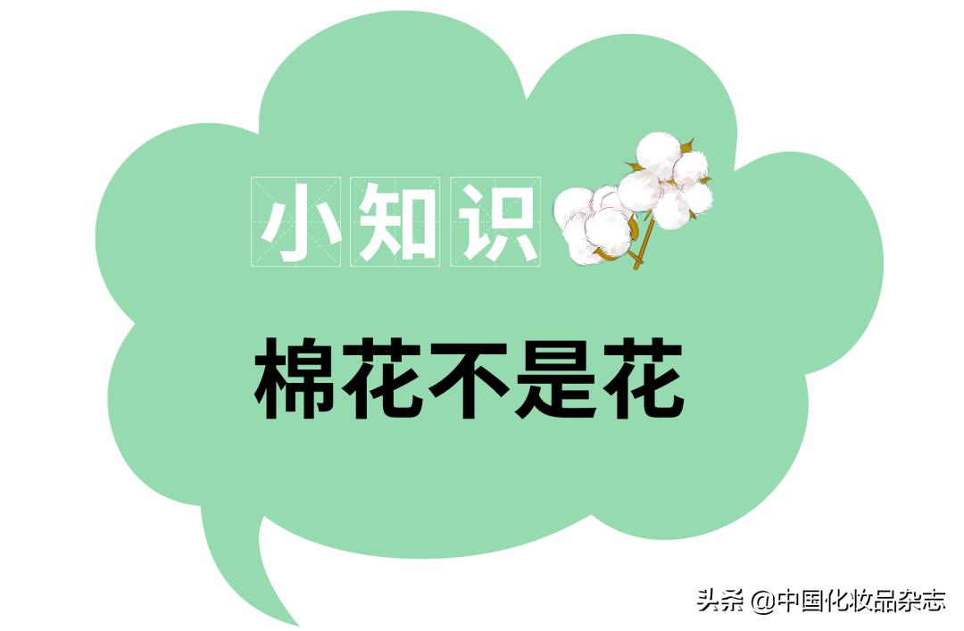 化妆用的海绵叫什么,如何选择适合自己的基础化妆棉