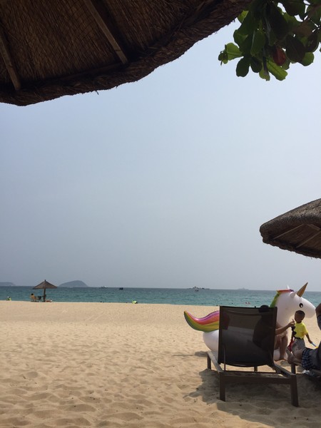 亚龙湾4天三晚,三亚7天6晚红树林