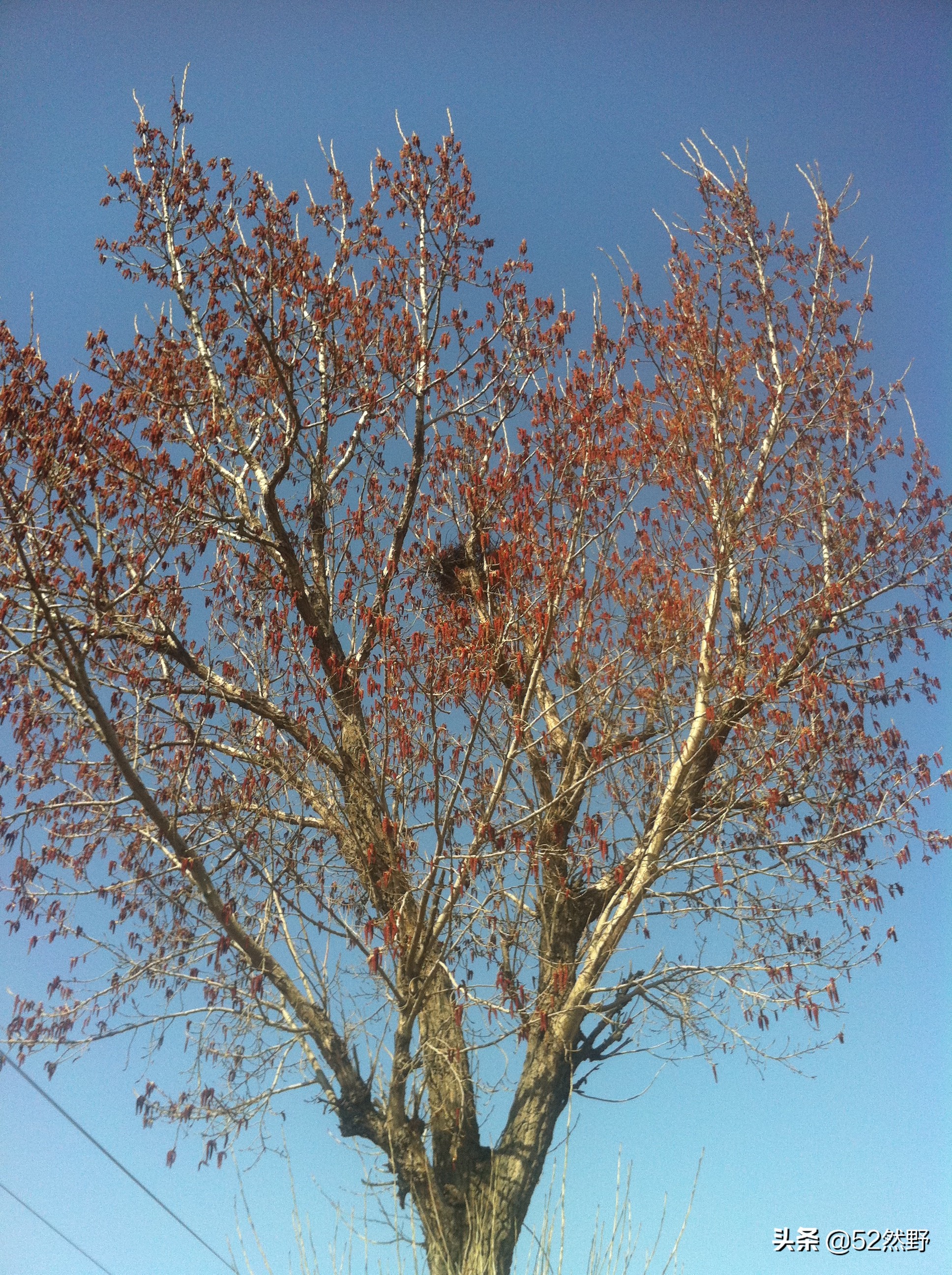 桑干河原唱完整版,桑干河诗句