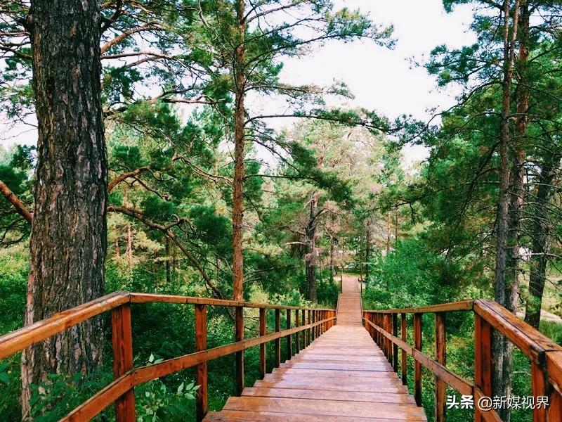 塞上明珠海拉尔,海拉尔是草原还是明珠