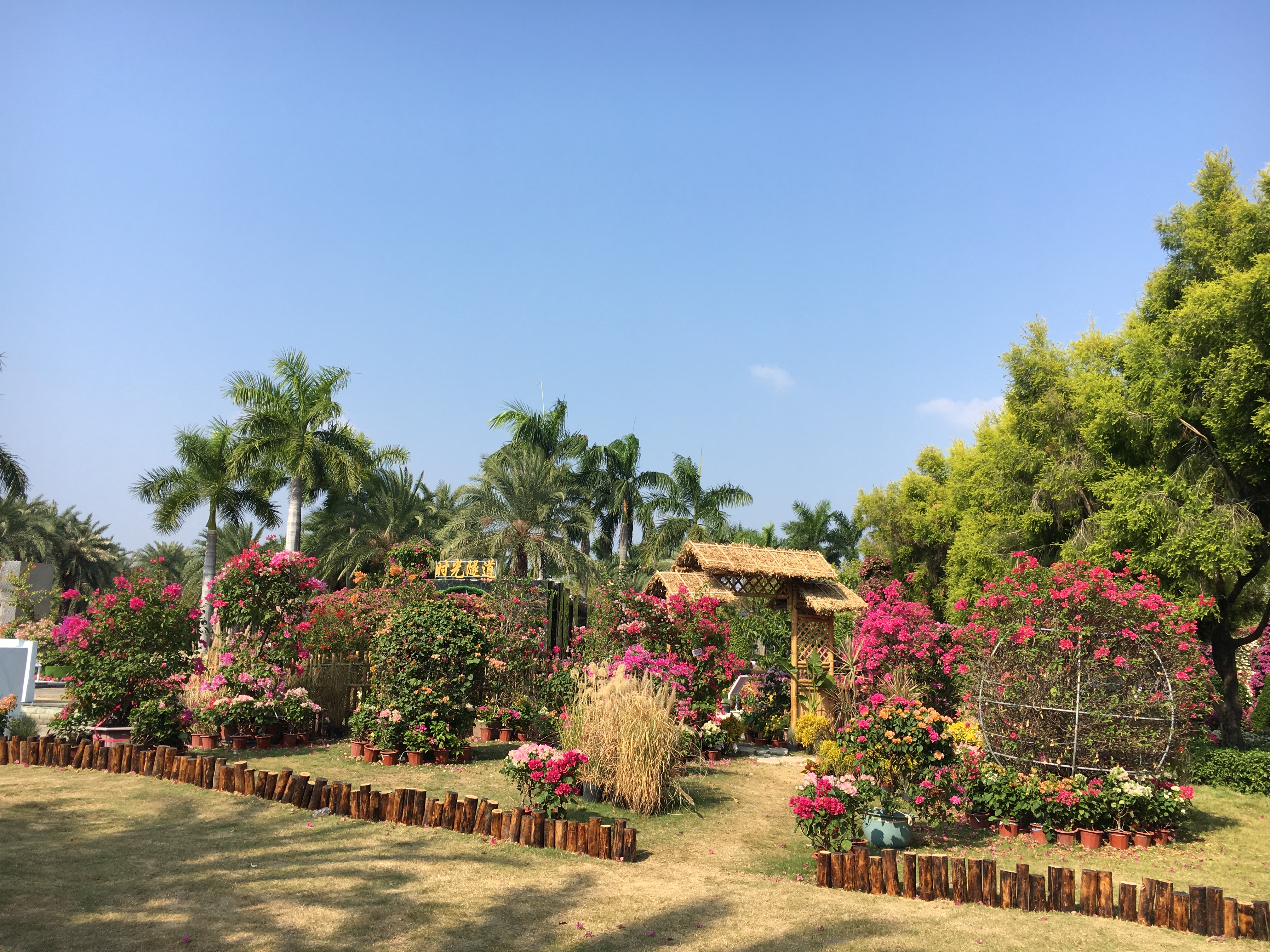 园博园旅行年卡 (旅游年卡 园博园)