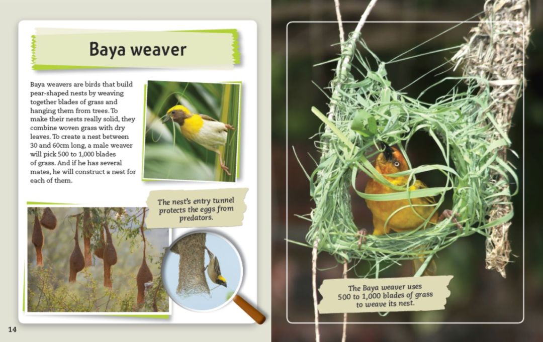 来聊聊总有一天要读的Non-fiction，怎么读，读什么...