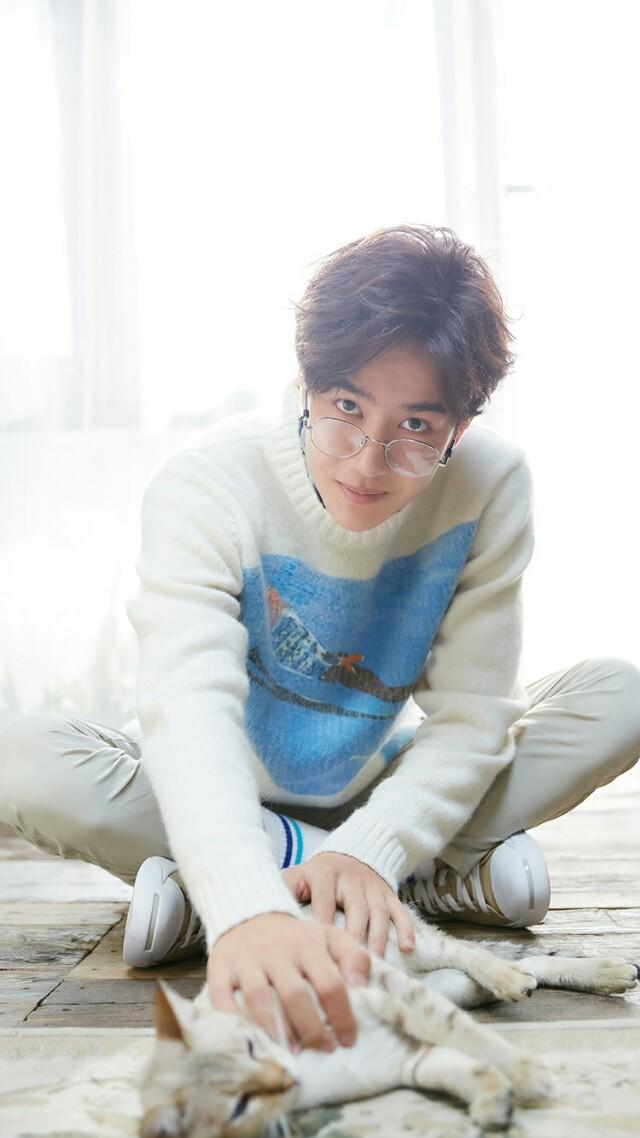 始于颜值陷于才华是毒鸡汤,始于颜值陷于才华败于现实