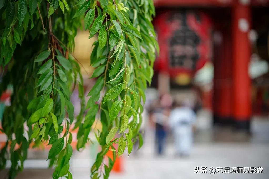 开箱lp电吉他,开箱fpv图传