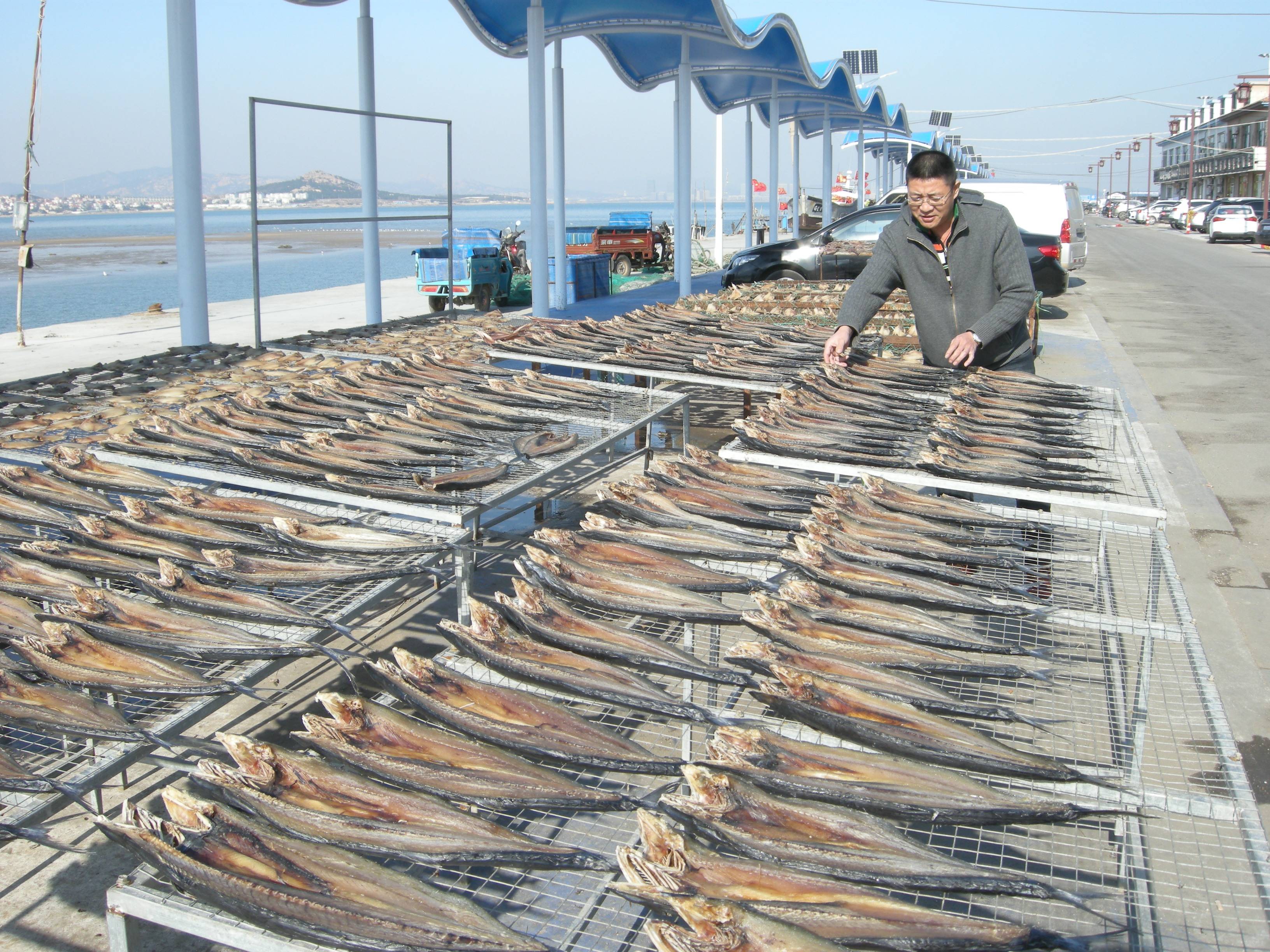 青岛港东码头开渔节,青岛港东码头赶海最新