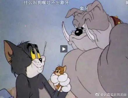 永琪：我是一个五字；尔康：我就一个鼻孔，这些弹幕是有毒吗？