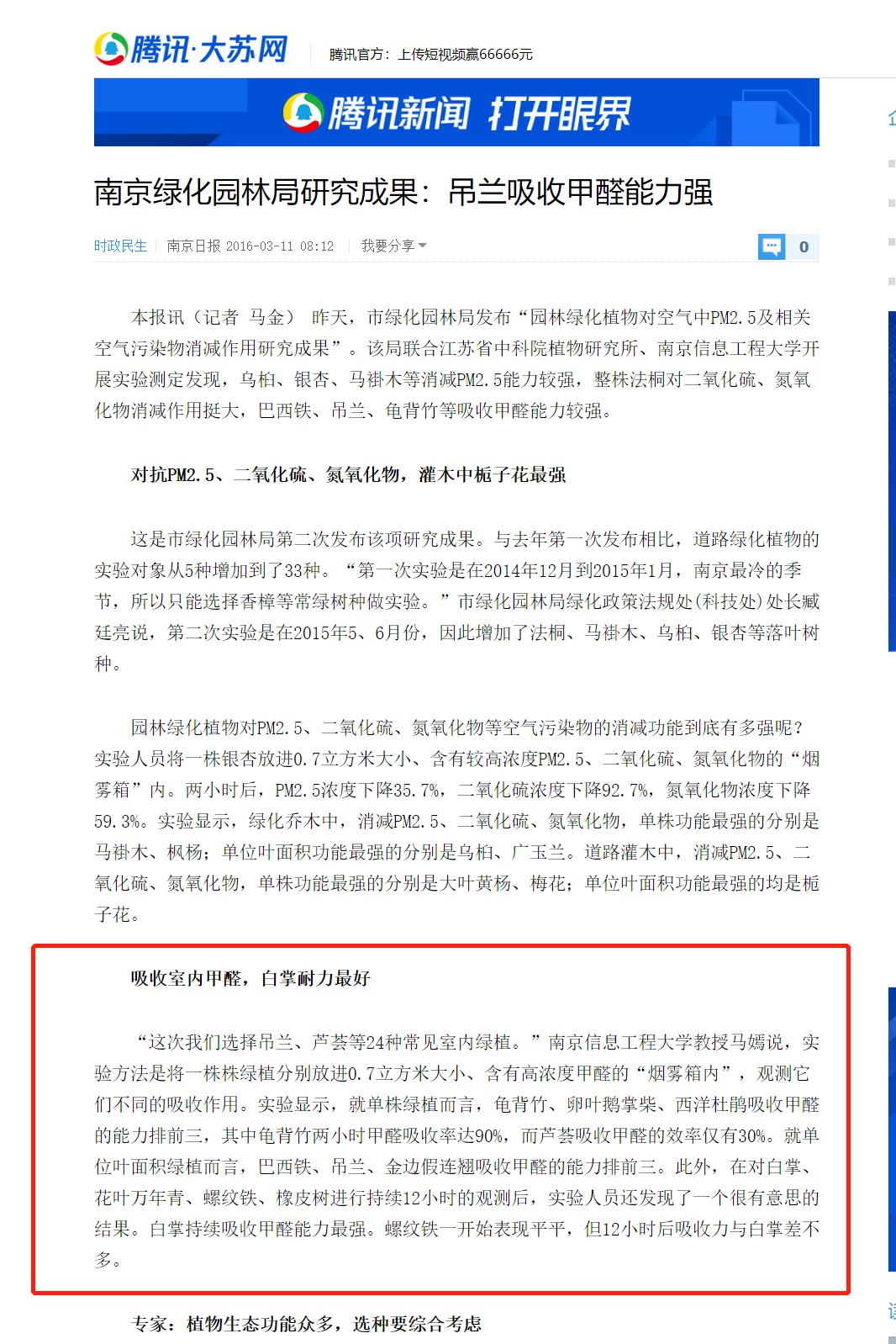 新房除甲醛最好的植物测评,去甲醛排行榜第一名植物除甲醛