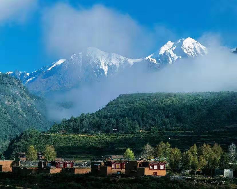 做高原好牛奶蓝逸“牦牛壮壮”唱响“新康定情歌”