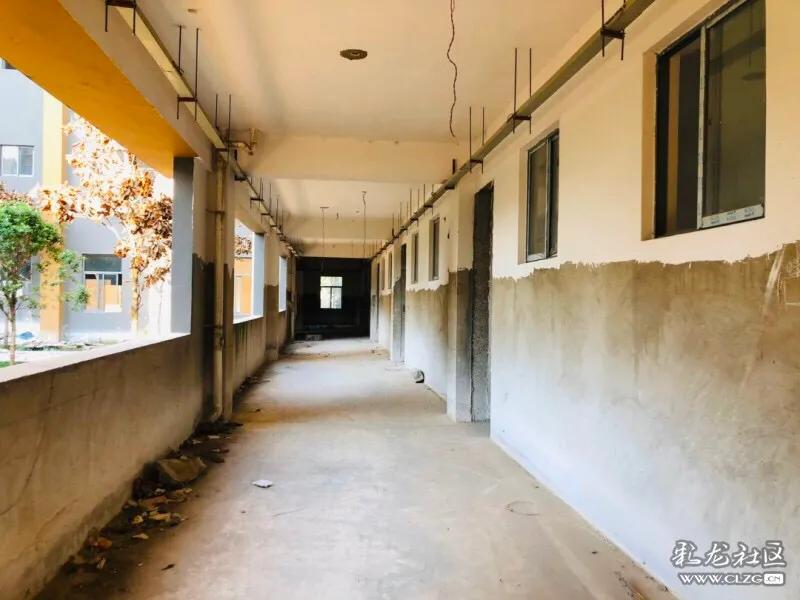 春城小学本部拆迁,春城小学金域校区基本情况