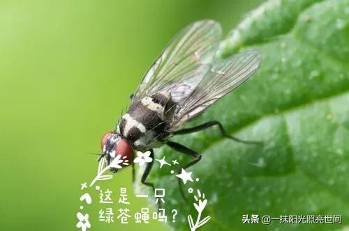 农村生活有几个人能懂,农村你了解多少