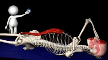 马甲线腹肌速成教程,练习腹肌人鱼线马甲线的最好方法