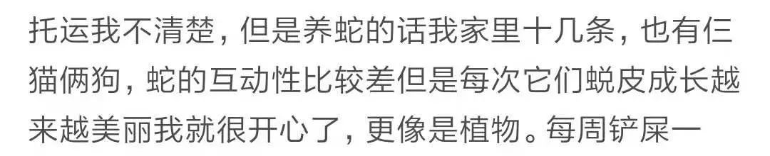 那些年舍友养过的奇葩宠物,你们身边的人都养什么奇怪的宠物