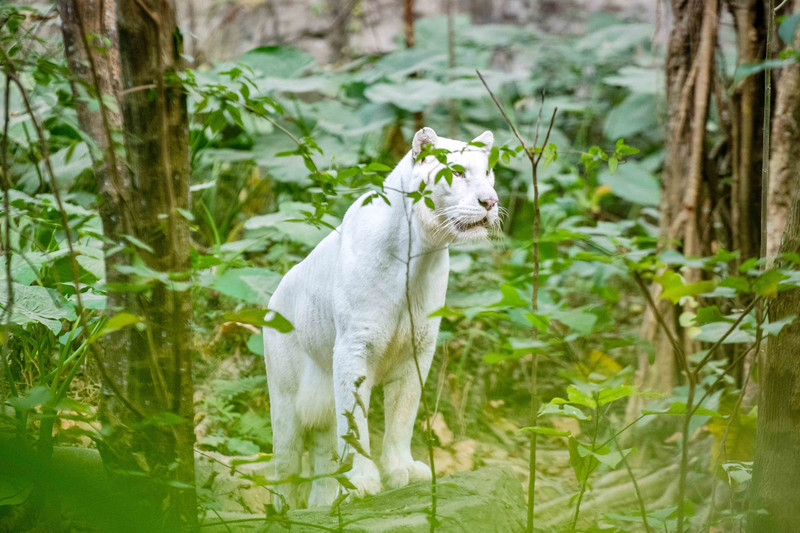 寒假亲子游推荐广东,广东自驾亲子游十大排名