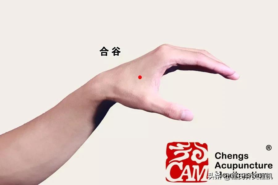 面口合谷收歌诀,百口合谷收中医什么意思