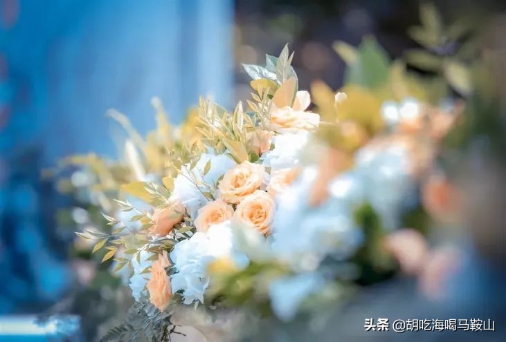 马鞍山最贵酒店,马鞍山酒店哪家好吃