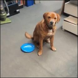 亲身经历过哪些坑,亲身经历致命骗局