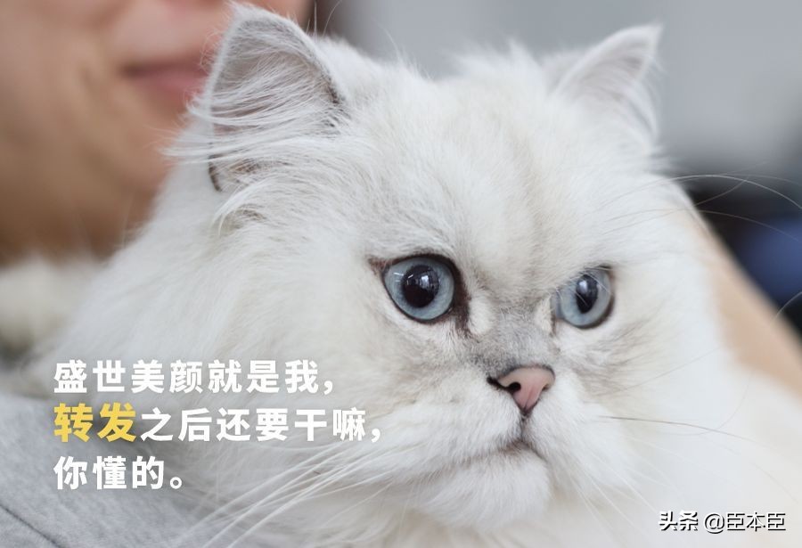 酸甜口的橙子适合怎么吃,鲜橙子怎么挑汁多的