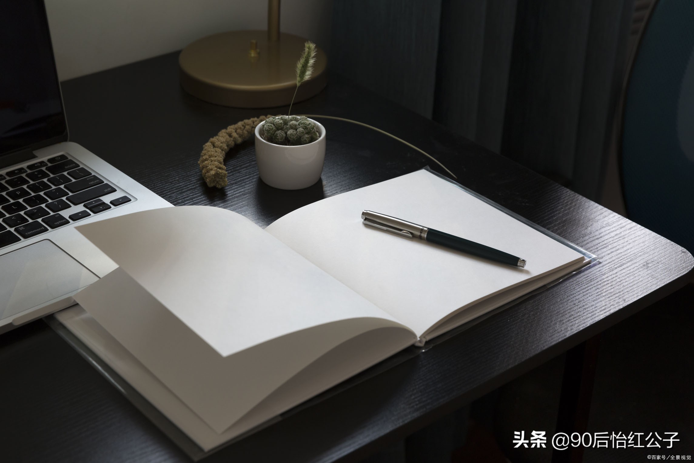 网文新手作者推荐平台,创作领域和创作平台怎么选择