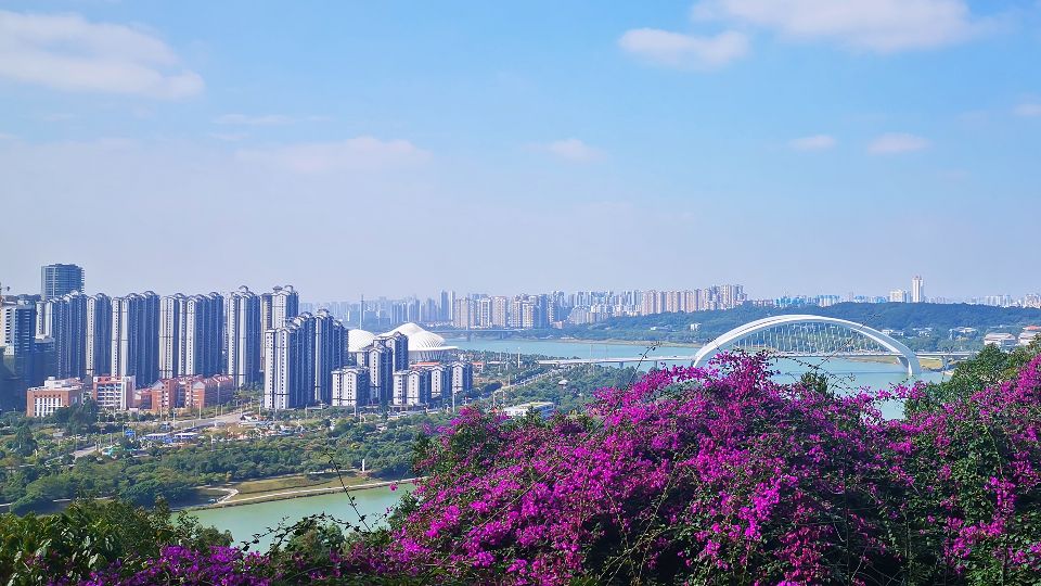 青秀山有什么独特之处,青秀山里有什么美景