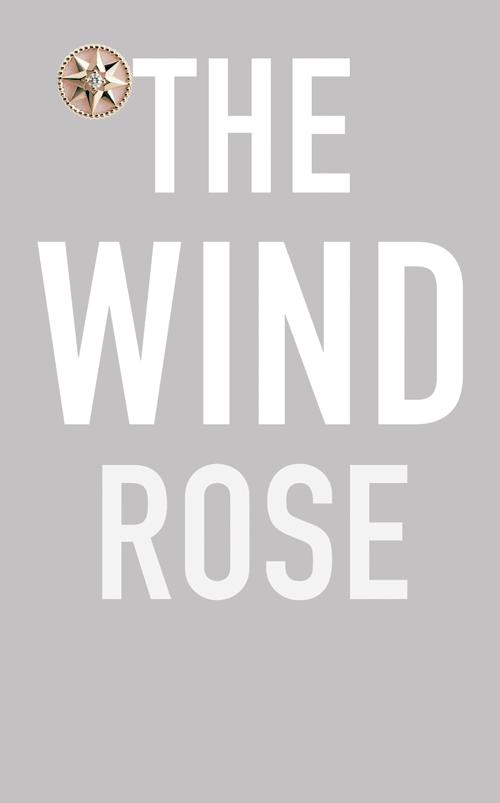 DIOR迪奥ROSEDESVENTS,罗盘玫瑰幸运篇章