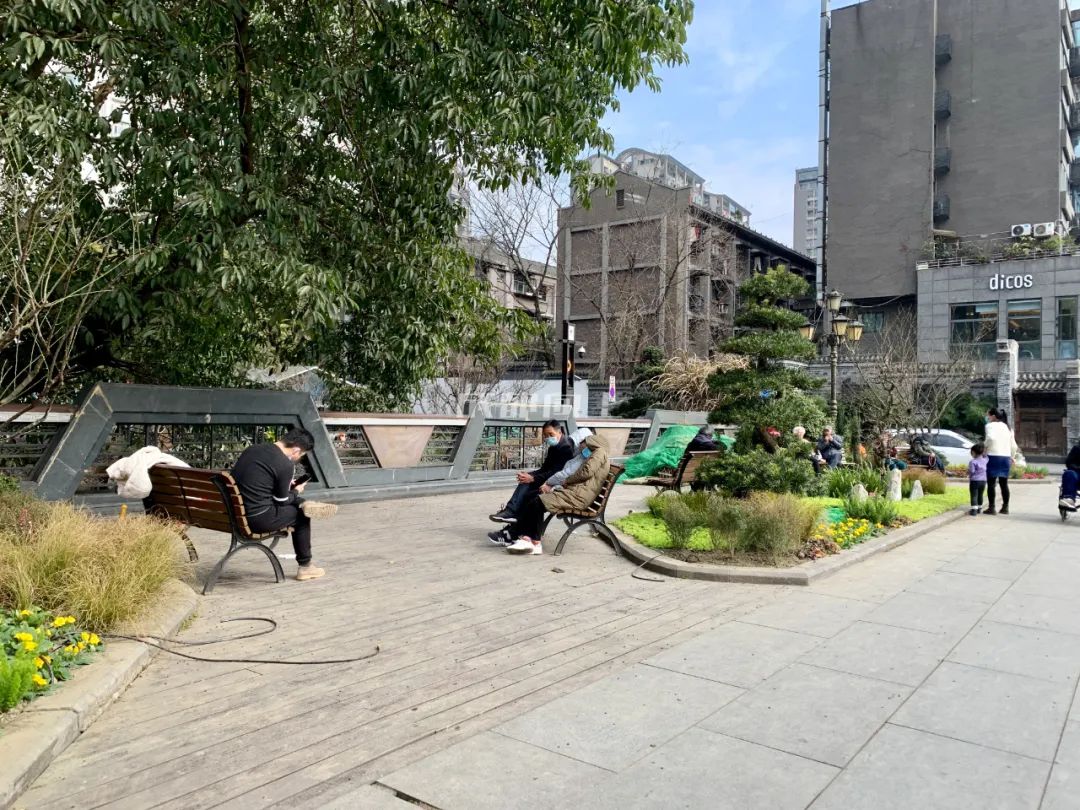 成都绿道风景美如画,成都周边哪条河边绿道最美