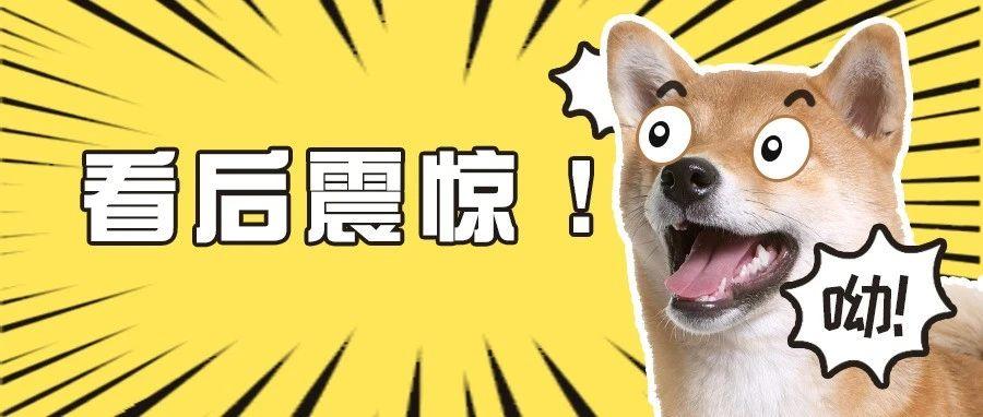 10张图带你回顾,10张图读懂a股