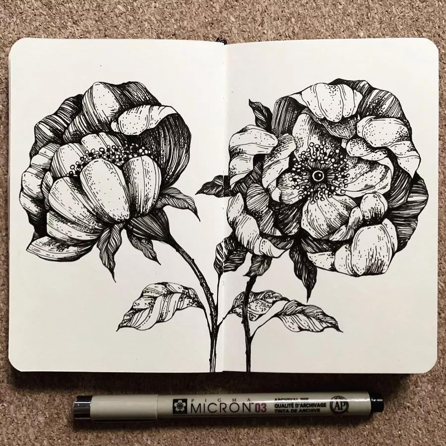 一看就懂的针管简笔画,针管笔入门手绘1000例临摹图