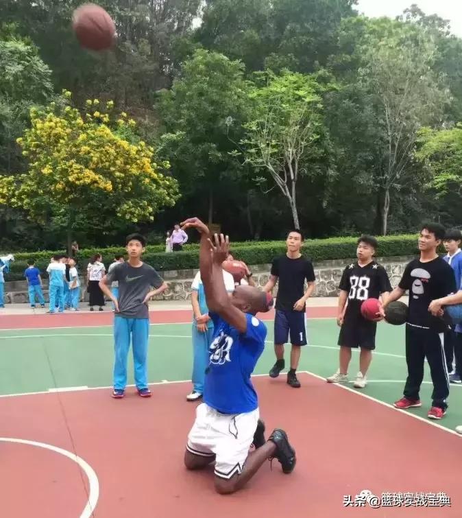 消灭小黑飞最高效最彻底的方法,消灭篮球小白