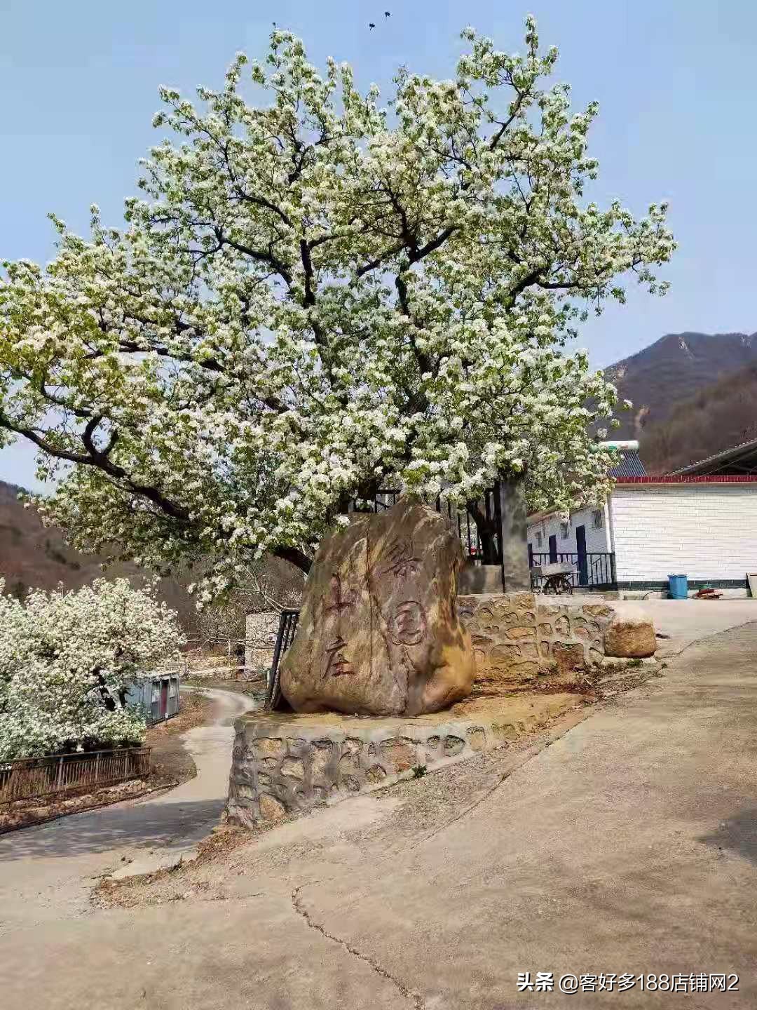 蓟县八仙山梨园春农家院电话,蓟县八仙山山里人家农家院