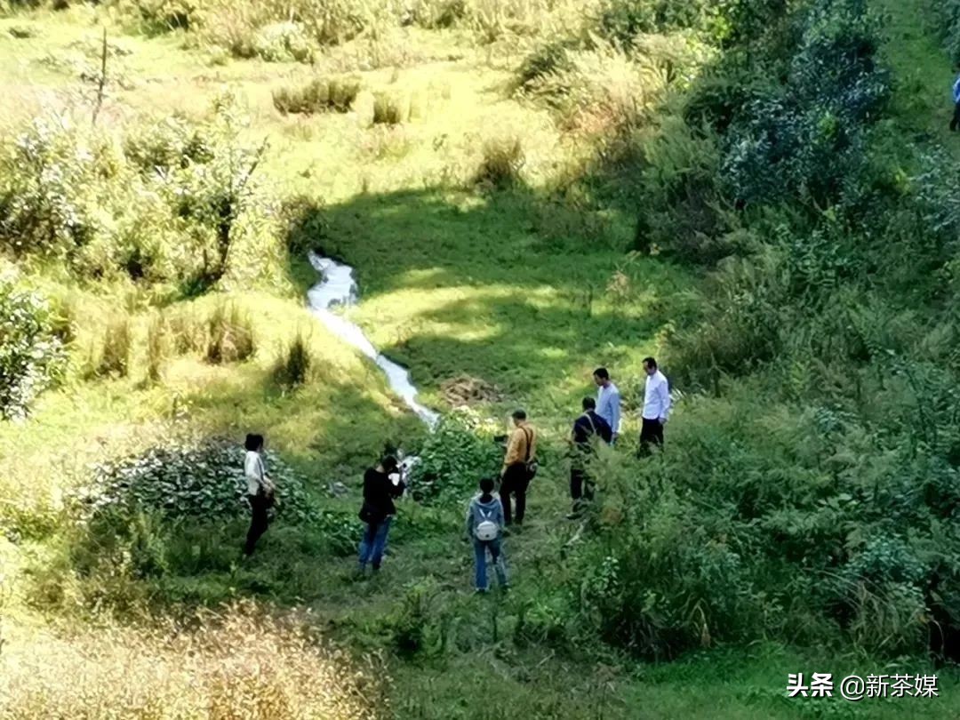 南糯山有什么景点,南糯山有哪些景点