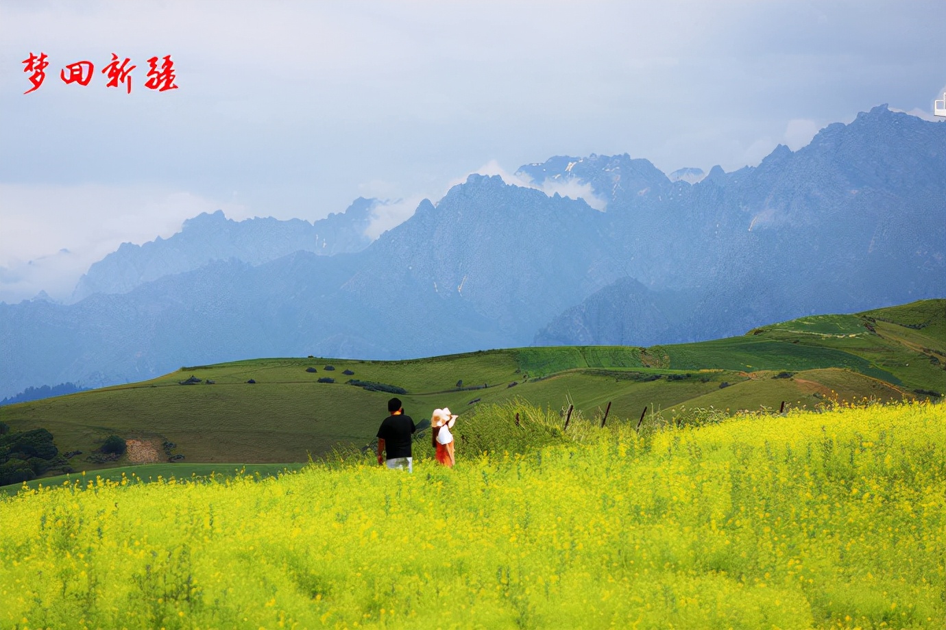 梦回新疆梦回拉萨,梦回伊宁草原视频