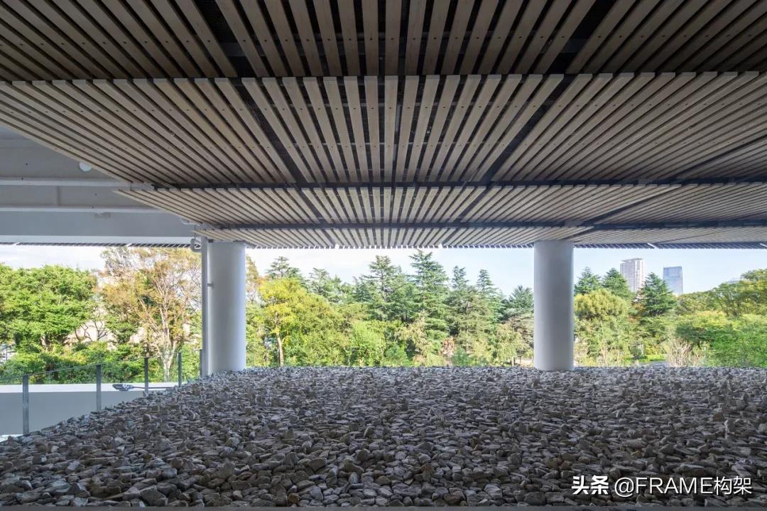 2020东京奥运会体育场设计,东京奥运会国立竞技场设计