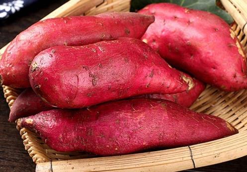 又香又甜的西瓜红蜜薯,西瓜红红薯新鲜红心蜜薯超甜