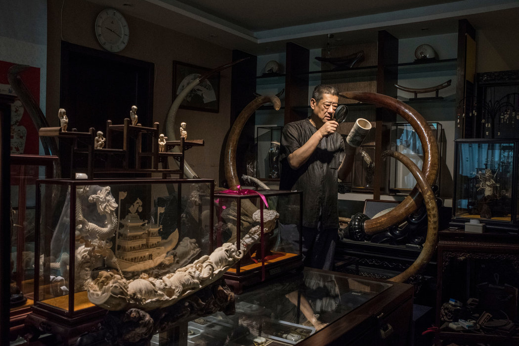 猛犸象冰河世纪的巨兽,冻土层下的猛犸象牙