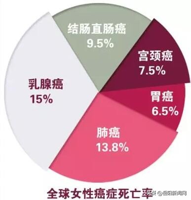 请问纯女户国家有哪些优惠政策,国家优惠政策只能享受一次吗