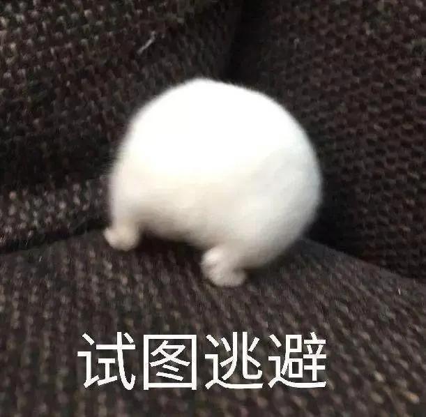 19鍏冨氨鑳戒拱鍒扮殑蹇箰,39鍏冨氨鑳戒拱鍒扮殑蹇箰