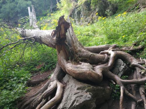 农村的老房子拆了有影响吗,农村要倒的老房子怎样修复