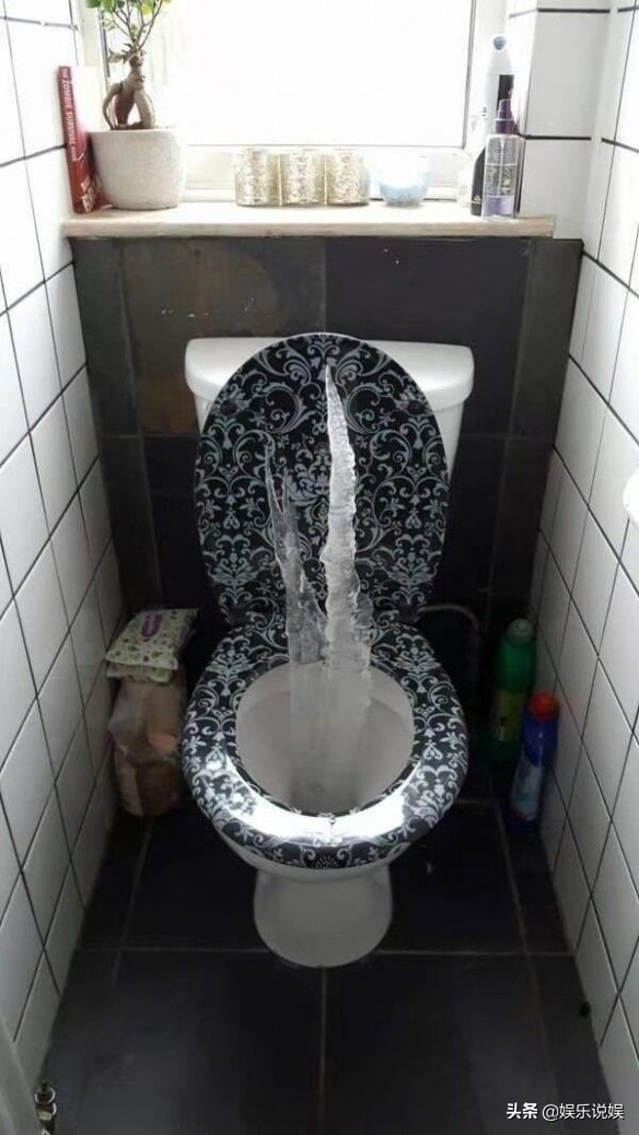 每日一笑，请问发骚门诊怎么走？大自然也好这口？纯白至臻小猫咪