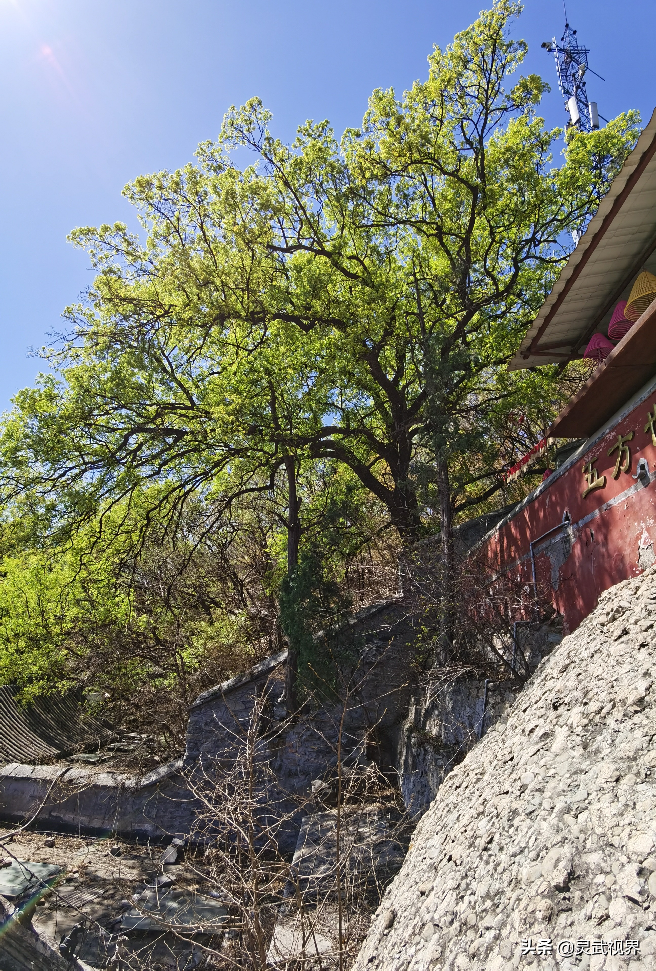 带你看看不一样的装饰,带你看看不一样的家