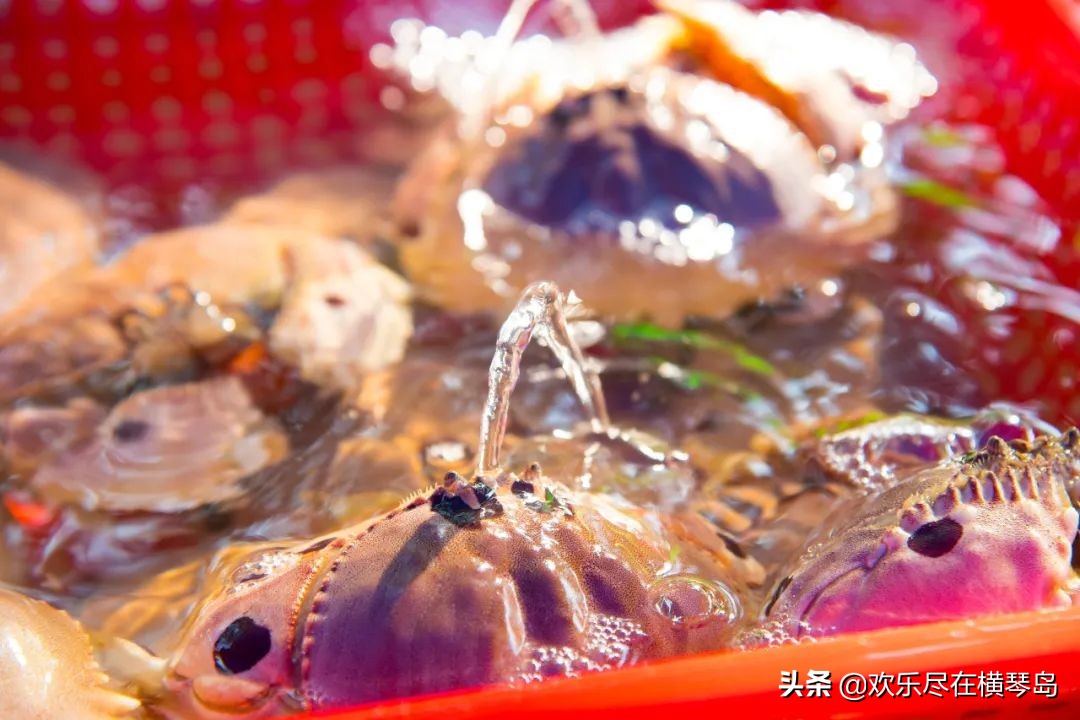 外伶仃岛旅游攻略能否开车,外伶仃岛旅游攻略日出