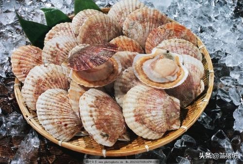 六个月宝宝除了米粉可以吃什么,6个月宝宝除了米粉还需要吃什么