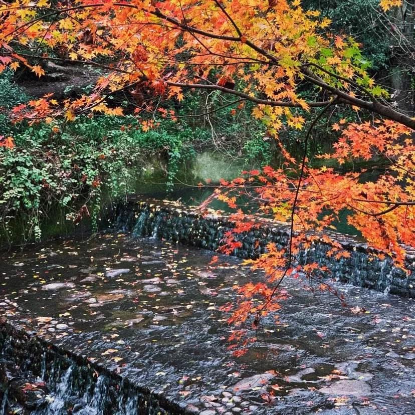 冬天和火锅都不会缺席,冬天和你不期而遇