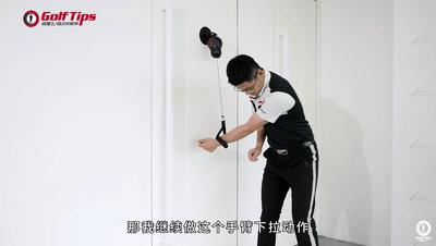 鸡翅膀修正方法,有什么方法能防止鸡啄羽